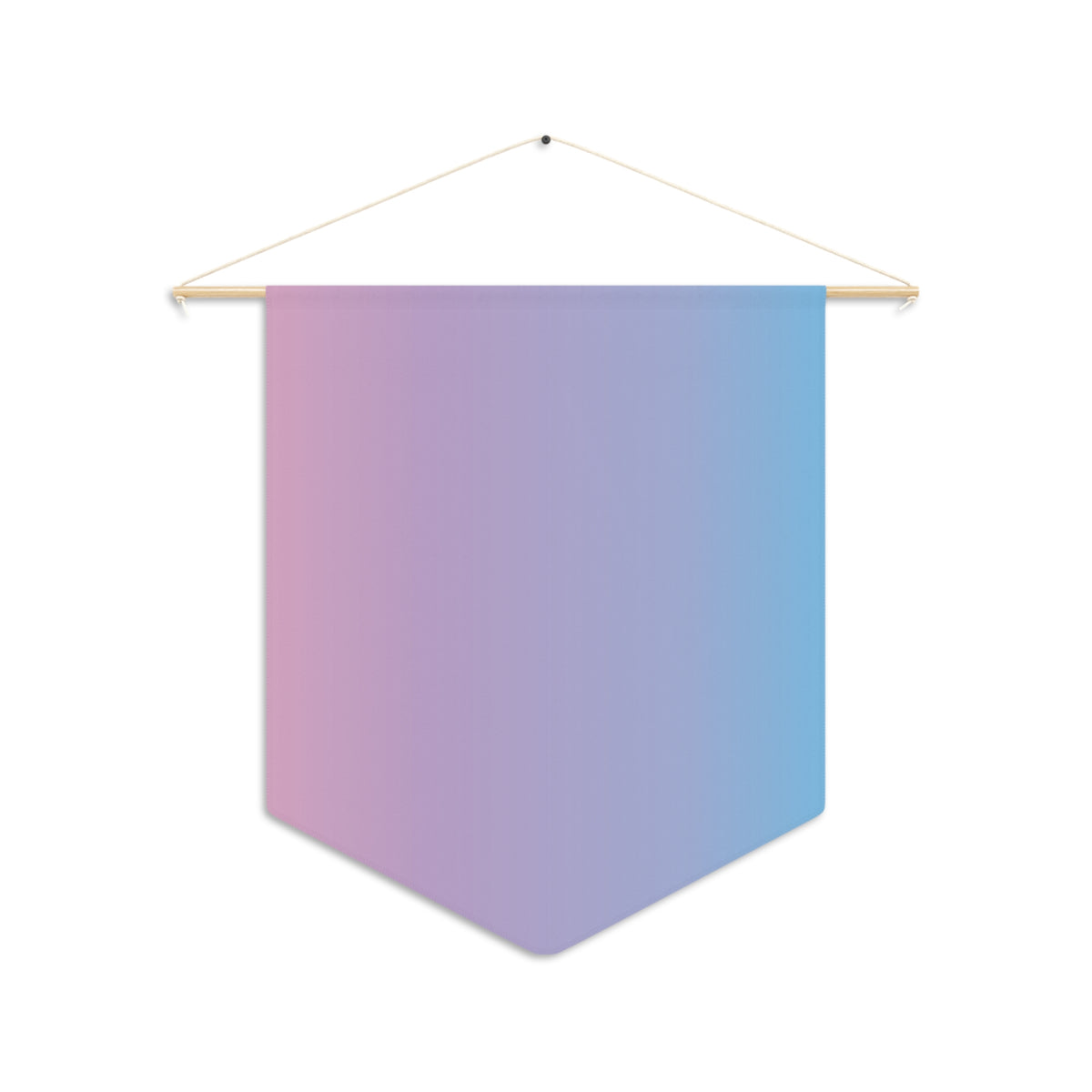 Pin Collection Pennant - Pastel Gradient